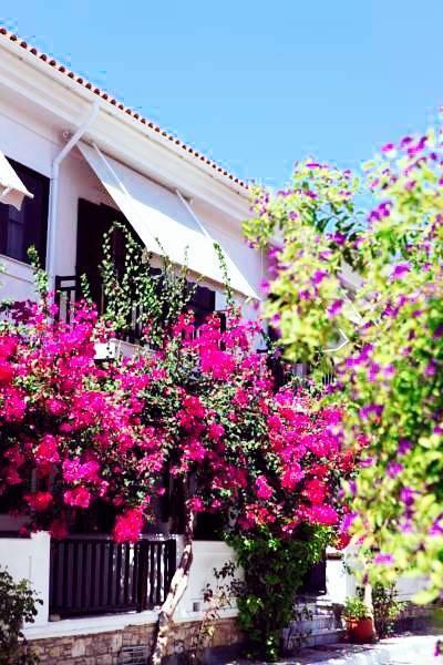 Hotel Angeliki Ireo  Esterno foto
